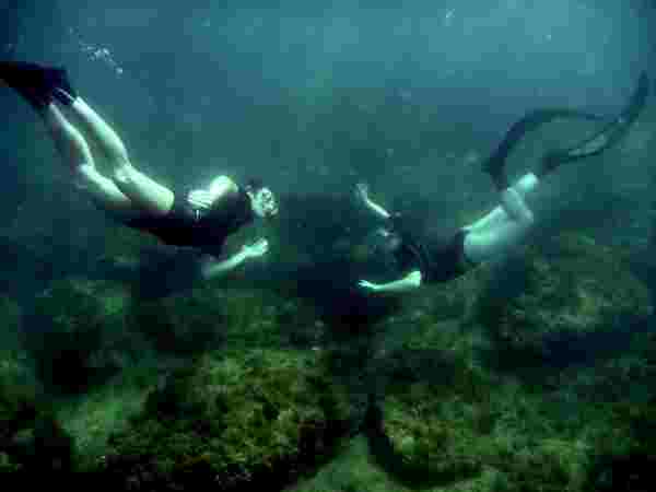 Bifins make for better recreational freediving.