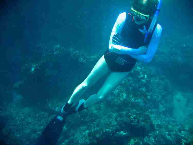 Details about   Dive Fredive Snorkel Matte 