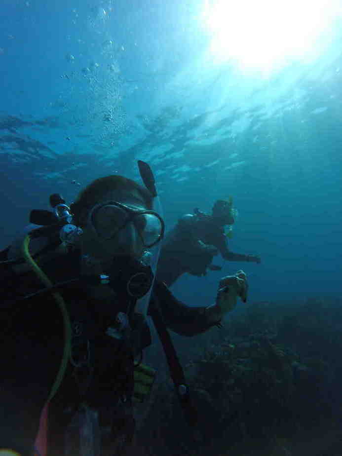Two scuba divers underwater in blue ocean dimly lit.