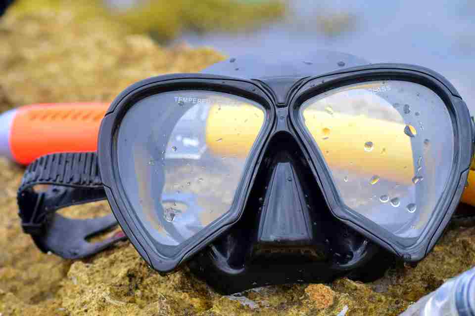Freediving Mask vs Scuba Mask: Here's how they differ