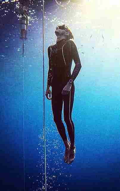 About Freediving Freedom