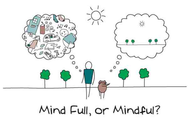 Pay attention to your senses to practice mindfulness