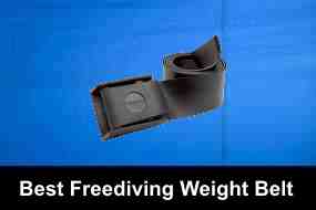 Best Weight Belt for Freediving