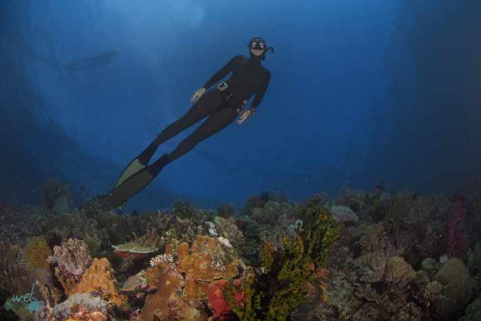 Choosing the wrong freediving fin can lead to worse freediving performances.