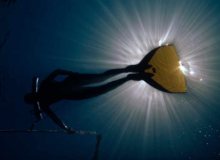 When used in conjunction with good dolphin kicking technique; monofins are the best freediving fins in terms of speed.